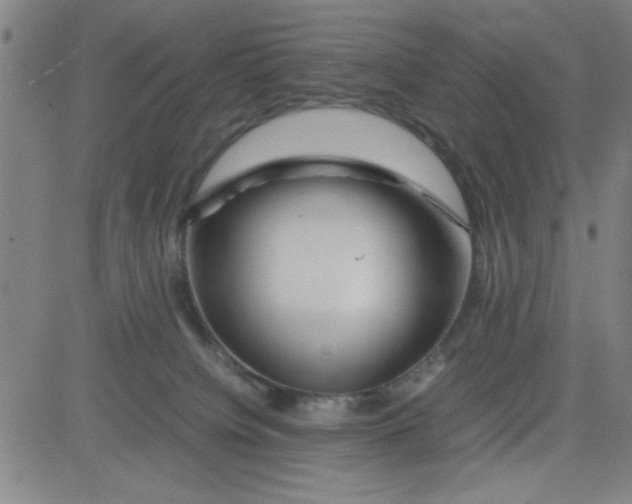 X0000081490084200702021933