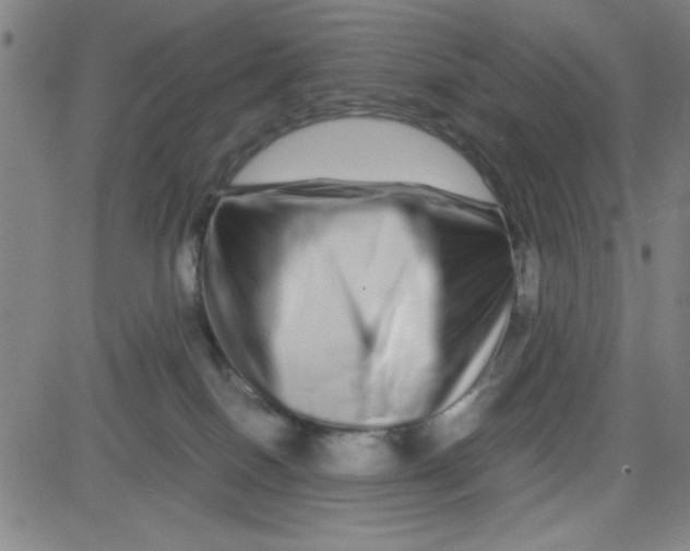 X0000081490086200702021933