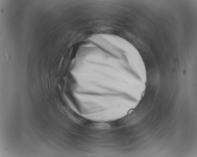 X0000081490087200702021933