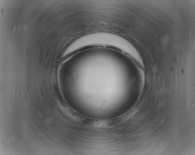 X0000081490088200702021933