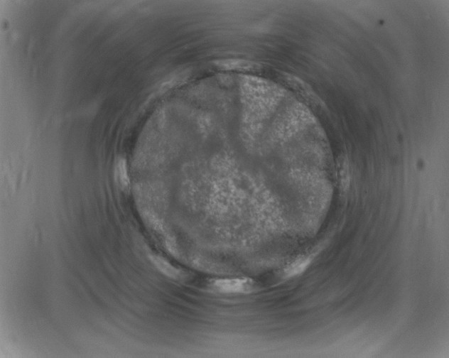 X0000081490089200702021933