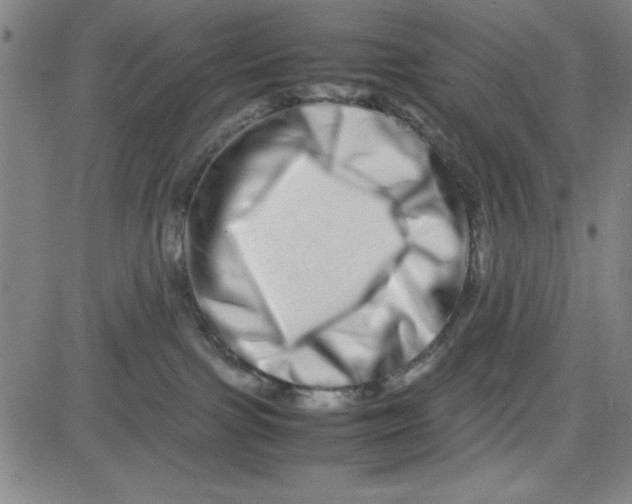 X0000081490091200702021933