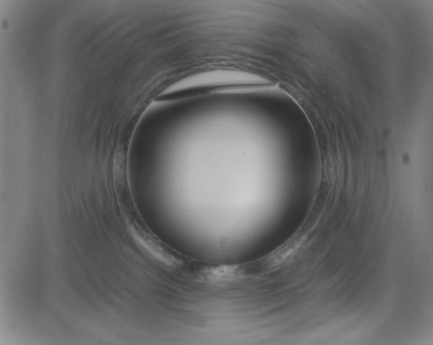 X0000081490092200702021933