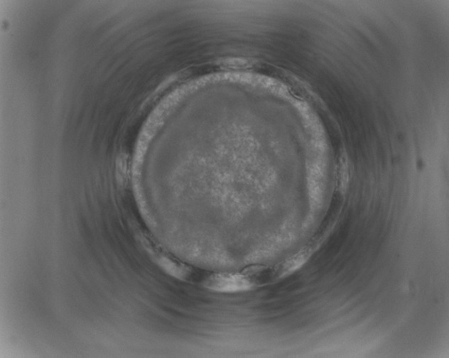 X0000081490093200702021933