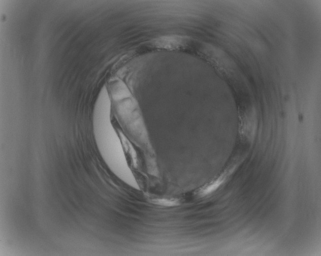 X0000081490095200702021933