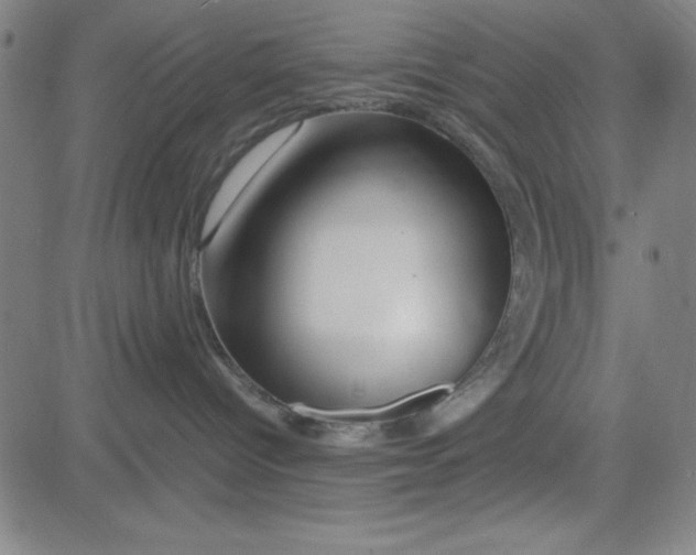 X0000081490096200702021933