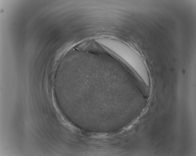 X0000081490097200702021933