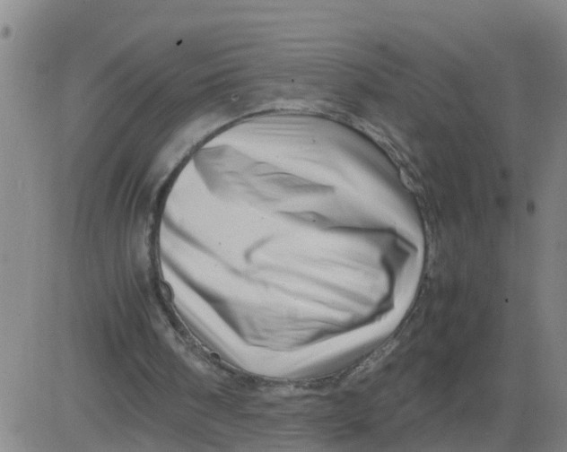 X0000081490098200702021933