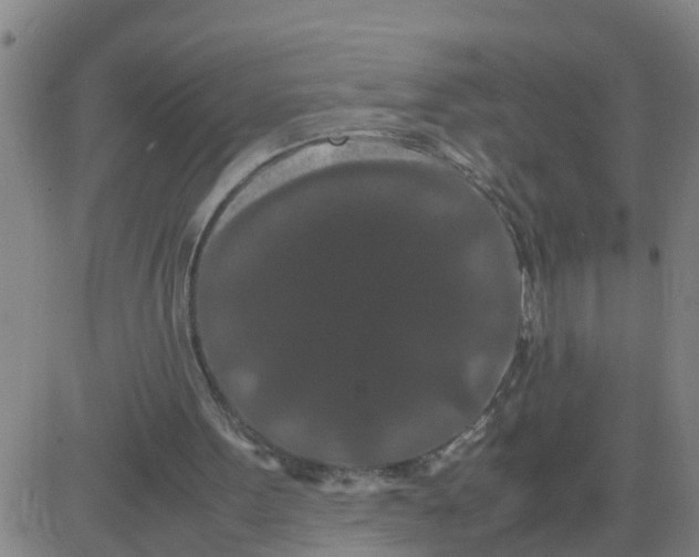 X0000081490099200702021933