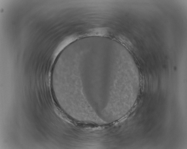 X0000081490100200702021933