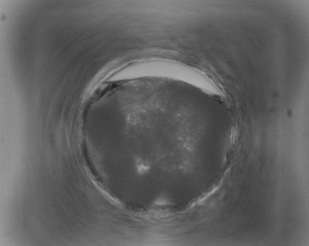 X0000081490101200702021933