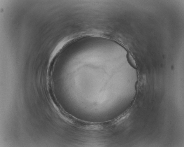 X0000081490102200702021933