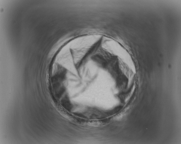 X0000081490103200702021933