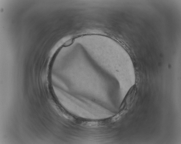 X0000081490104200702021933