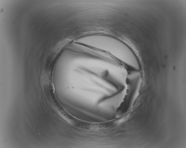 X0000081490105200702021933