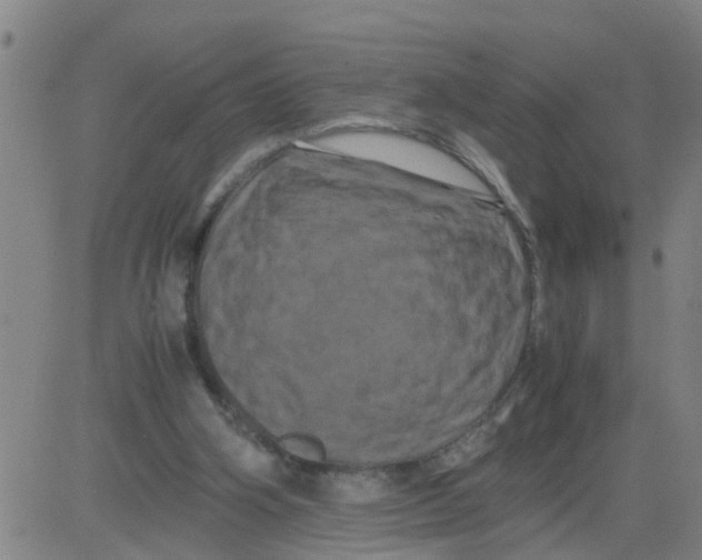 X0000081490106200702021933