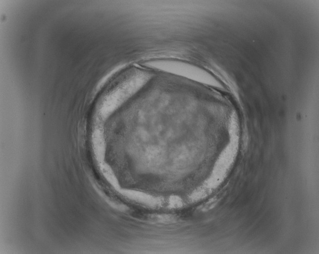 X0000081490107200702021933