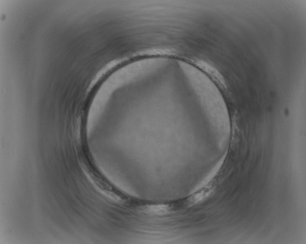 X0000081490108200702021932