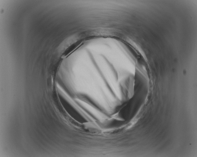 X0000081490109200702021932