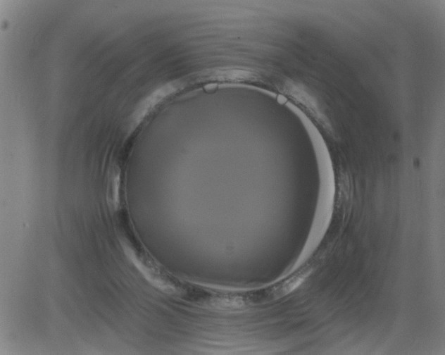 X0000081490110200702021932