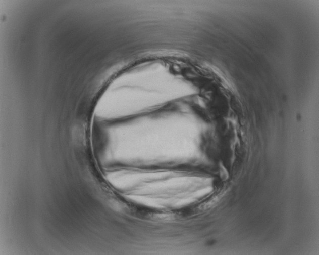 X0000081490111200702021932