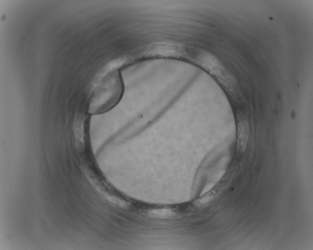 X0000081490112200702021932