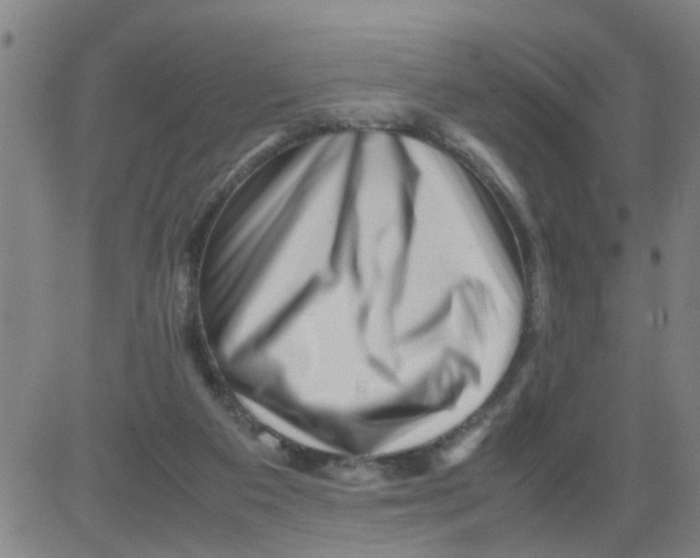 X0000081490113200702021932