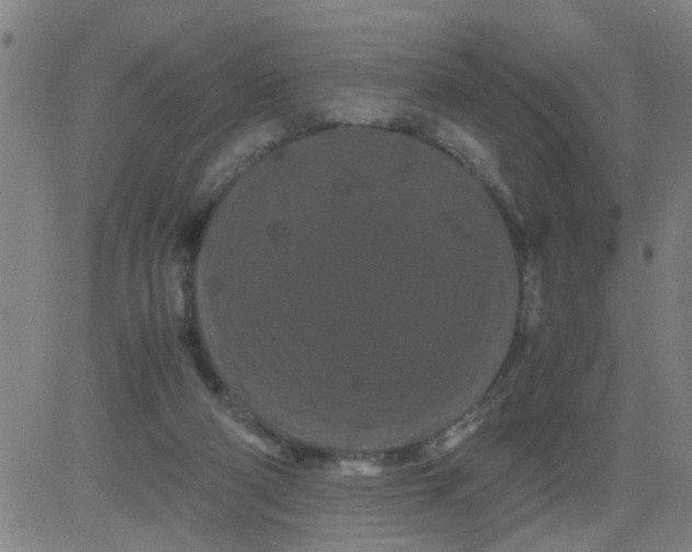 X0000081490114200702021932