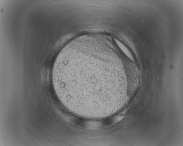 X0000081490115200702021932