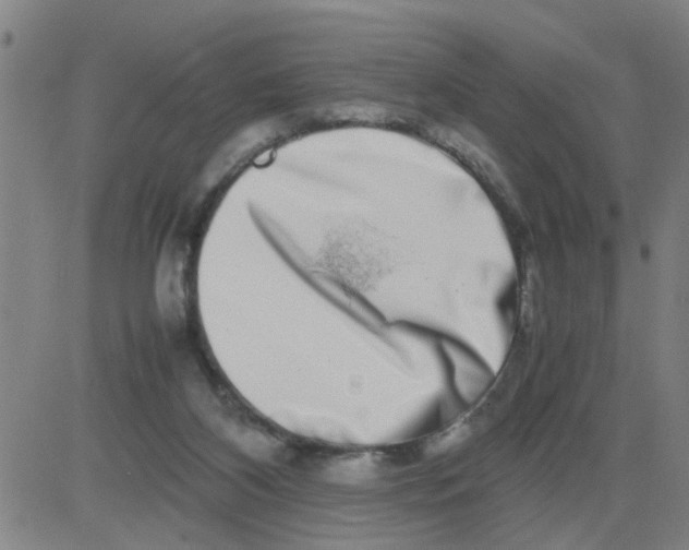 X0000081490116200702021932