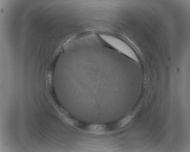 X0000081490117200702021932