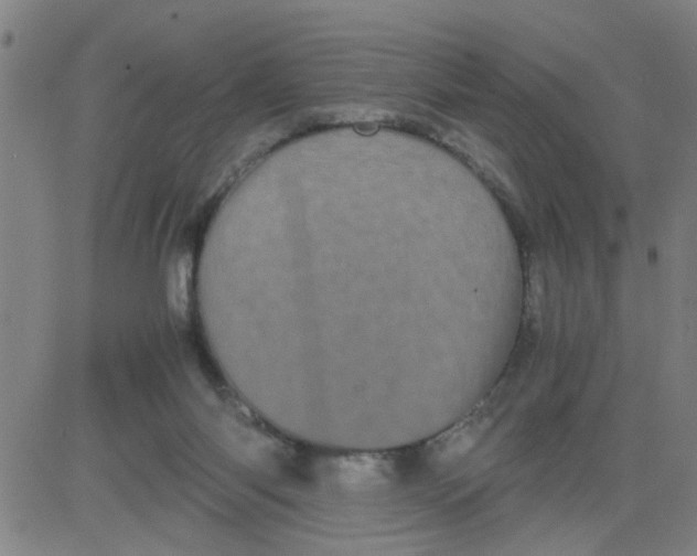 X0000081490118200702021932