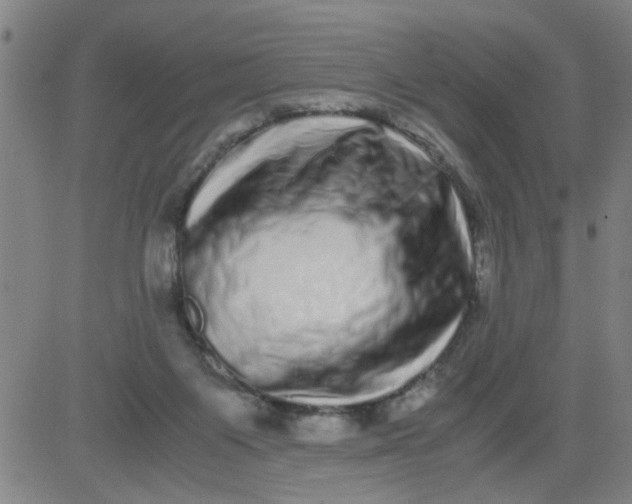 X0000081490119200702021932