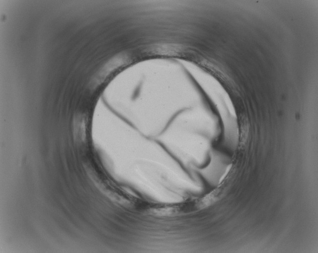 X0000081490120200702021932