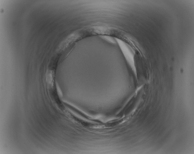 X0000081490121200702021932