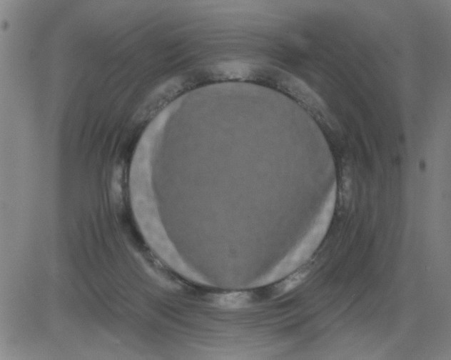 X0000081490122200702021932