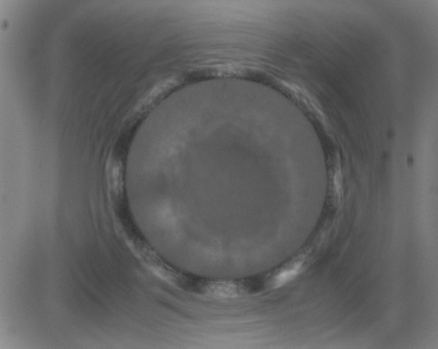 X0000081490123200702021932