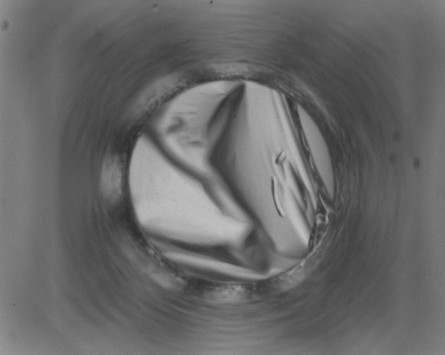 X0000081490124200702021932