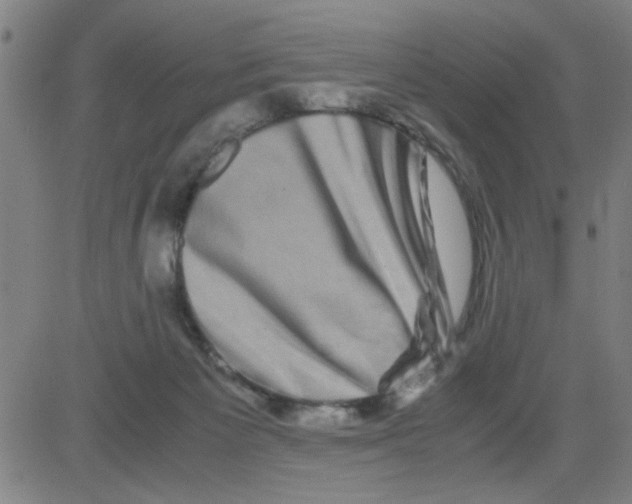 X0000081490125200702021932