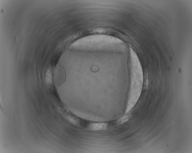 X0000081490126200702021932