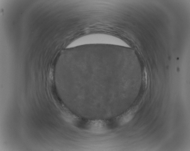 X0000081490127200702021932