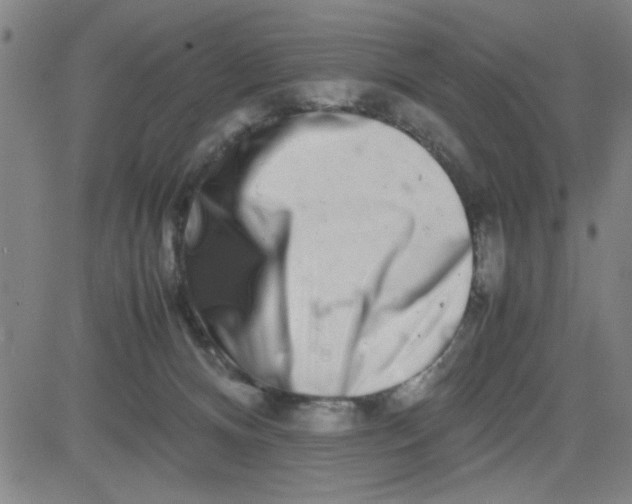 X0000081490128200702021932