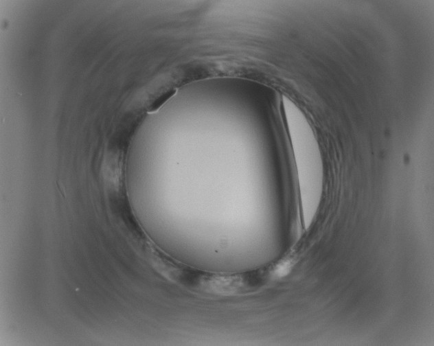 X0000081490129200702021932