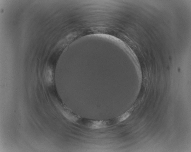 X0000081490130200702021932