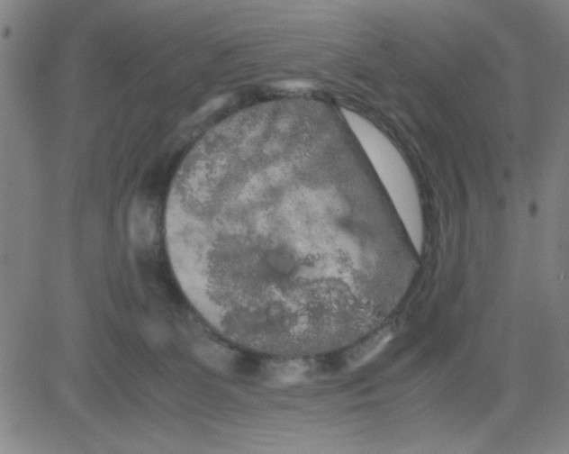 X0000081490131200702021932