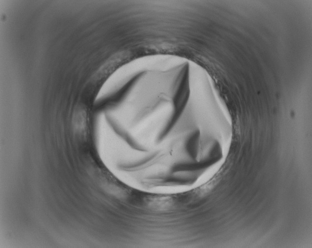 X0000081490132200702021932