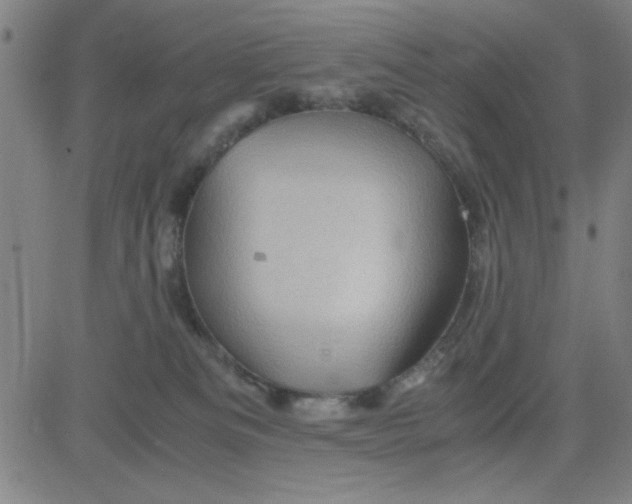 X0000081490133200702021932