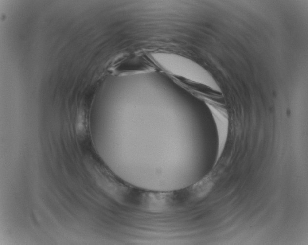 X0000081490134200702021932