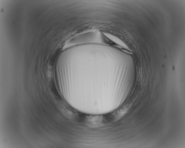 X0000081490135200702021932