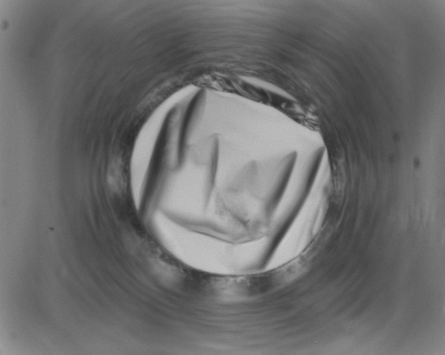 X0000081490136200702021932